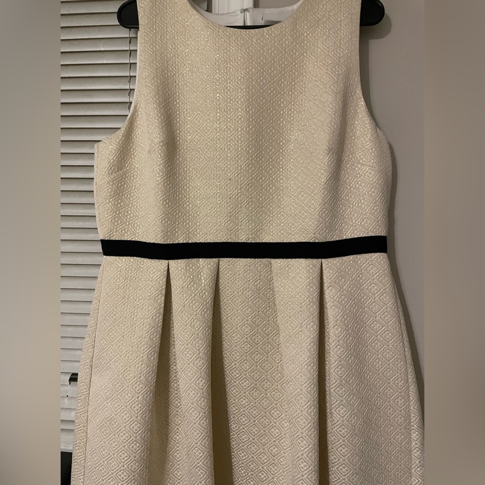Wendy Bird Cream/Gold Pleated Dress